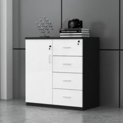 Tủ tài liệu thấp TTLK09
