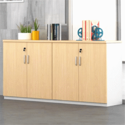 Tủ tài liệu thấp TTLK12