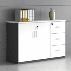 Tủ tài liệu thấp TTLK10